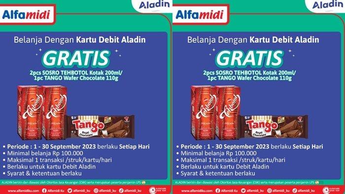 promo Alfamidi