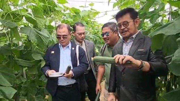 Menteri Pertanian, Syahrul Yasin Limpo (Mentan SYL) mengunjungi salah satu lokasi pertanian yang berada di Almeria, Spanyol (24/9/2023).