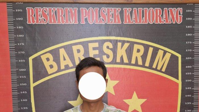 Pelaku pencuri sapi milik warga Kaliorang Kutai Timur.