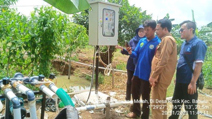 Petani di Babulu Penajam Paser Utara, mulai gunakan teknologi pertanian untuk bercocok tanam bawang merah meski di tengah musim kemarau. Petani terapkan sistem irigasi digital farming, yang terbukti mampu hasilkan bawang merah dalam jumlah besar, meskipun dalam kondisi kekeringan, Selasa (21/11/2023).