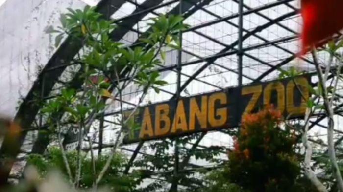Tabang Zoo, tempat Buaya Riska dipindahkan sekarang.