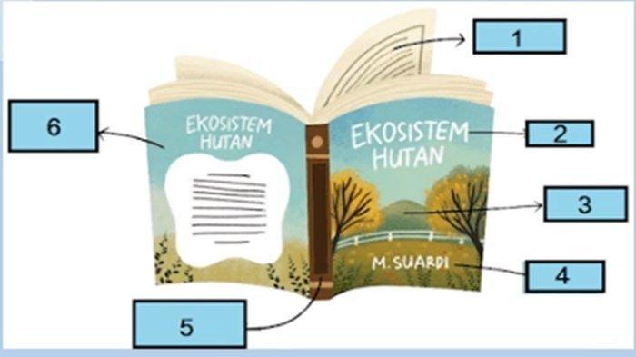 Gambar latihan soal PAS/UAS Bahasa Indonesia kelas 5 SD semester 1 Kurikulum Merdeka