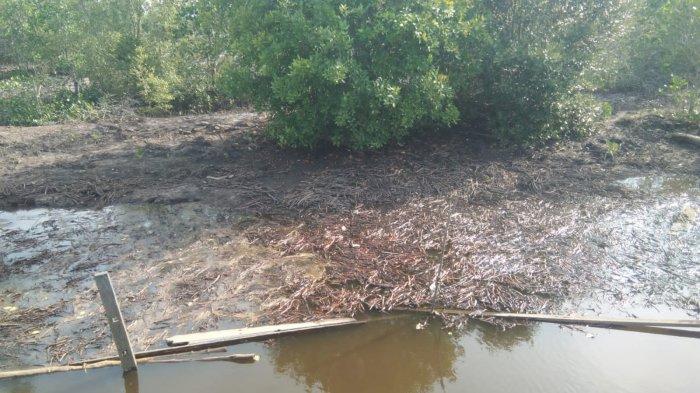 Kondisi perairan areal Pelabuhan Kenyamukan yang tercemar ranting pada saat pasang air laut di Kutai Timur, Kalimantan Timur, Selasa (5/12/2023). Fopsir sebut, ada indikasi dugaan pencemaran di perairan Kawasan Pelabuhan Kenyamukan yang mengancam tambak ikan bandeng.