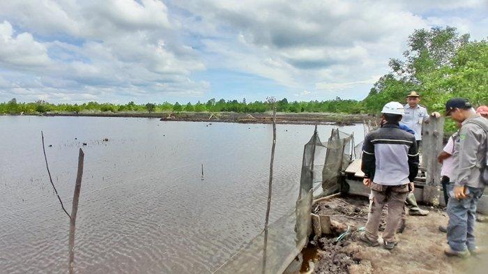 Fopsir Kutim bersama Pemkab Kutim dalam hal ini Dinas Lingkungan Hidup (DLH) dan Dinas Perhubungan (Dishub) melakukan peninjauan ke lokasi tambak Kutai Timur.