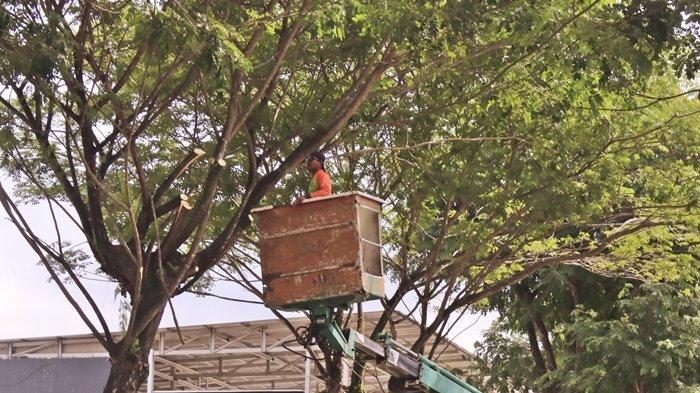Sejumlah pekerja DLH menggunakan parang dan mobil hidrolik untuk menebang pepohonan sejak sepekan lalu di Jalan Bukit Alaya Perumahan Alaya, Kecamatan Sungai Pinang, Kota Samarinda, Kalimantan Timur, Rabu (10/1/2024) sore. Kegiatan penebagan pohon ini dilakukan karena masuk musim penghujan disertai angin guna cegah hal tak diinginkan.