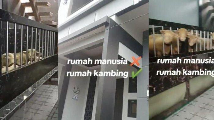 Rumah mewah ternyata kandang domba di Banjarnegara viral, berikut sosok pemiliknya.