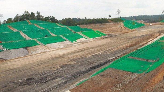 KACANG BABI - Ilustrasi pembangunan proyek jalan tol IKN Nusantara. Di sepanjang jalan tol IKN Nusantara ini ditanam kacang babi. Apa manfaatnya? Simak info lengkapnya.