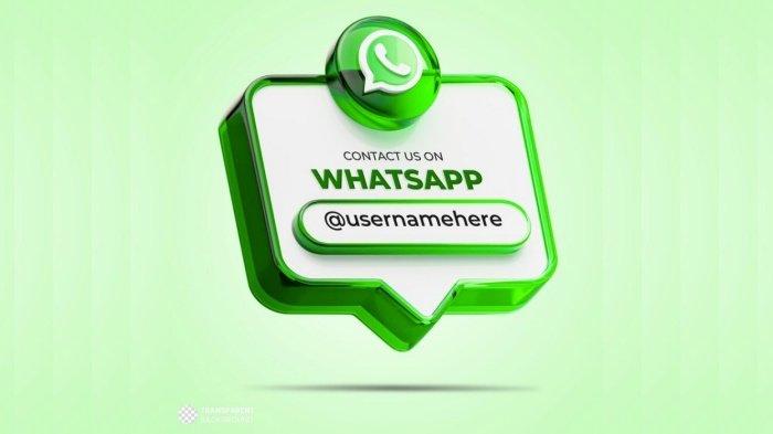TAMPILAN BARU WHATSAPP - Ilustrasi. WhatsApp punya tampilan baru di Android. Cek perubahan WA yang terbaru, menu chat hingga status biar lebih paham menggunakannya
