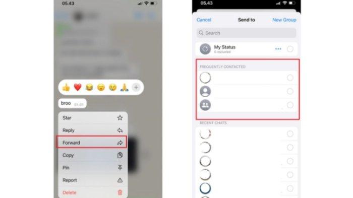 KONTAK WHATSAPP SERING DIHUBUNGI - Ilustrasi cara mengetahui kontak yang sering dihubungi di WhatsApp melalui Frequently Contacted di forward chat.