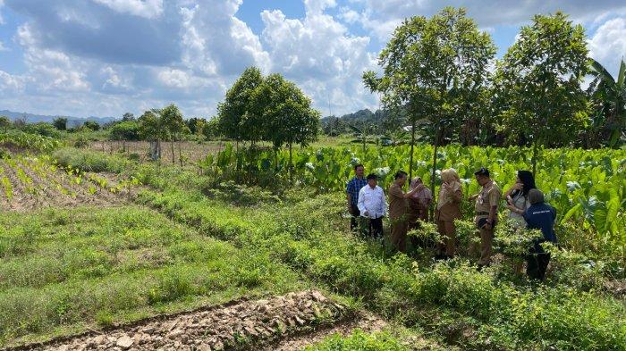 Tim Penilaian Probebaya saat mengunjungi salah satu RT di kawasan Kelurahan Gunung Lingai Samarinda.TRIBUNKALTIM.CO/SINTYA ALFATIKA SARI