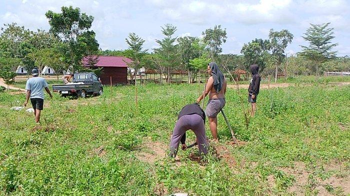 Turunkan emisi gas rumah kaca, Desa Sukamaju Kutim bentuk kelompok masyarakat untuk penjagaan hutan.