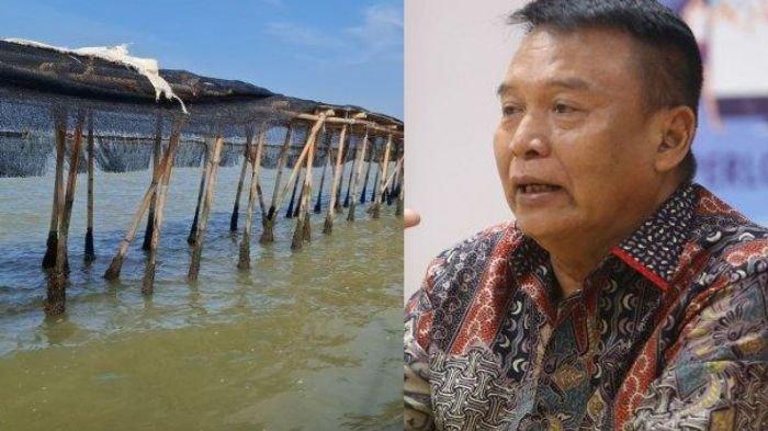 Pagar laut Tangerang dan TB Hasanuddin. Anggota Komisi I DPR RI TB Hasanuddin menyoroti pagar laut Tangerang yang dibongkar TNI AL