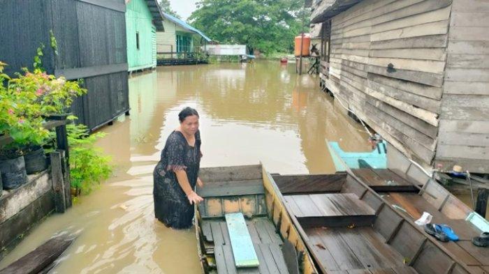 BANJIR DI KUBAR - Beginilah kondisi banjir di Muara Lawa, Kutai Barat (Kubar) Jumat (18/4/2025). Banjir di Kubar makin meluas, kini merendam 44 desa di 7 kecamatan. (TribunKaltim.co/Febriawan)