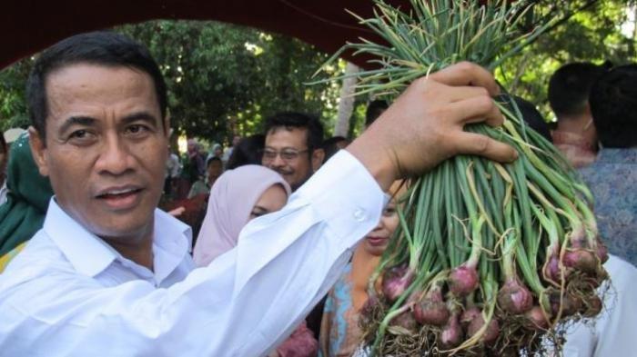 ANDI AMRAN SULAIMAN - Menteri Pertanian Andi Amran Sulaiman saat panen bawang merah beberapa waktu lalu. Menteri Pertanian, Andi Amran Sulaiman, tengah trending di media sosial. Hal ini bermula dari video Amran yang beredar, Amran menceritakan saat dirinya ditegur Wakil Presiden karena menutup perusahaan milik mafia beras.Hal ini disampaikan Amran saat memberikan sambutan di wisuda Universitas Hasanuddin pada Kamis (10/4/2025).(TRIBUNNEWS/IMMANUEL MANAFE)