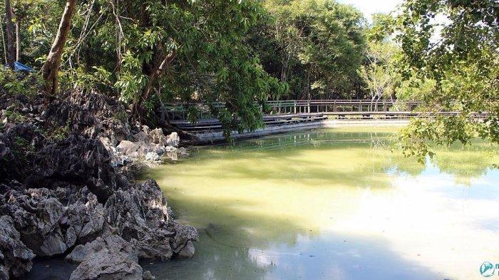 WISATA DANUM LAYONG - Lokasi Wisata Danum Layong di Kabupaten Paser. Tempat yang spesial dan khas ada air yang bisa sembuhkan penyakit kulit.