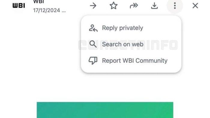 Cara cek keaslian gambar melalu fitur search images on the web WhatsApp