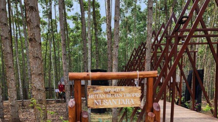Kawasan Miniatur Hutan Hujan Tropis Nusantara