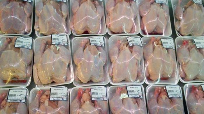Ilustrasi daging ayam
