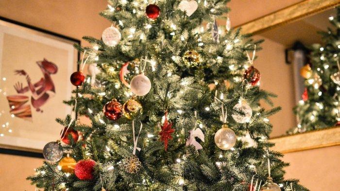 Wujud pohon Natal