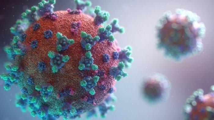 Ilustrasi virus Covid-19