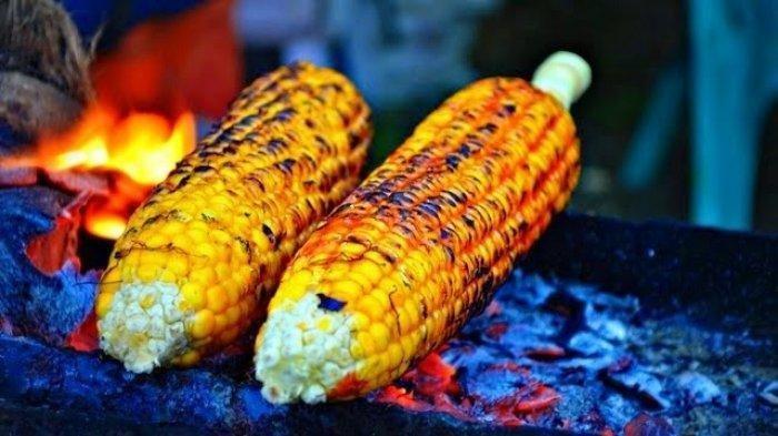 Ilustrasi Jagung Bakar
