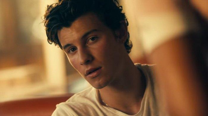 Lirik Señorita - Shawn Mendes feat. Camila Cabello Lengkap dengan Terjemahan Bahasa Indonesia
