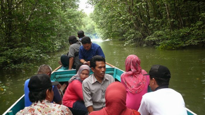 Pengunjung menikmati wisata lingkungan alam mangrove Graha Indah di Balikpapan Utara, Kalimantan Timur, berkeliling menggunakan perahu motor. Foto diambil pada Jumat (2/1/2015) siang.