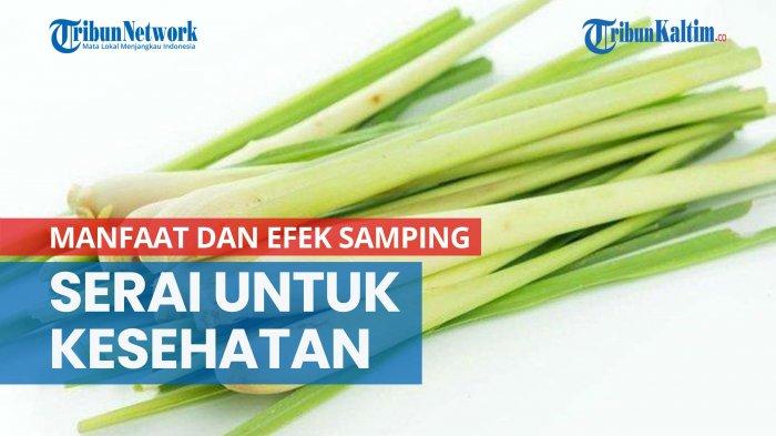Mengenal Manfaat dan Efek Samping Serai untuk Kesehatan