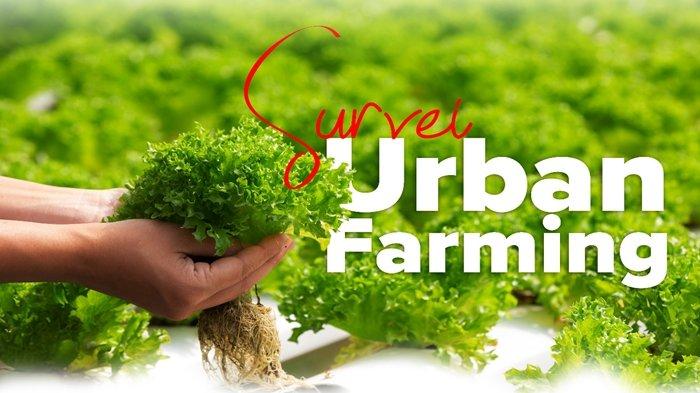 Urban Farming, tumbuhkan geliat bertani Milenial dan Masyarakat Perkotaan