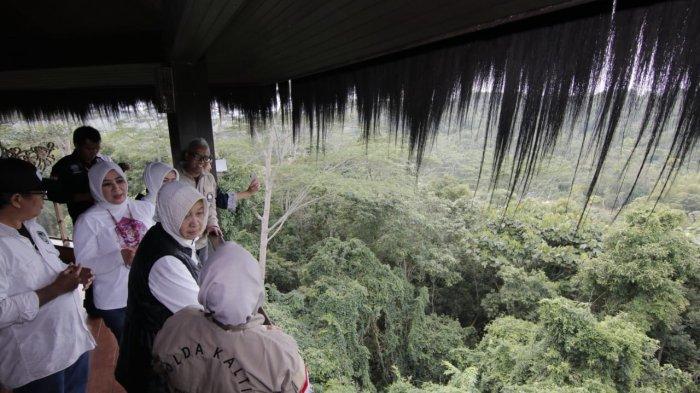 Ketua Bhayangkari, Tri Tito Karnavian mengaku takjub saat melihat keindahan hutan Kalimantan Timur, Rabu (24/7/2019) di beranda Elang Suite Lodge Samboja.