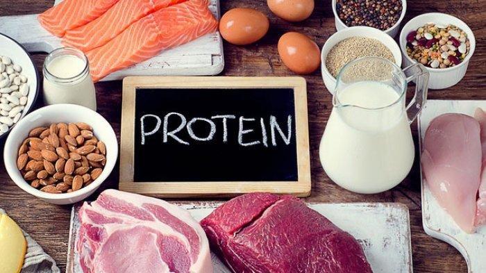 Ilustrasi makanan kaya protein