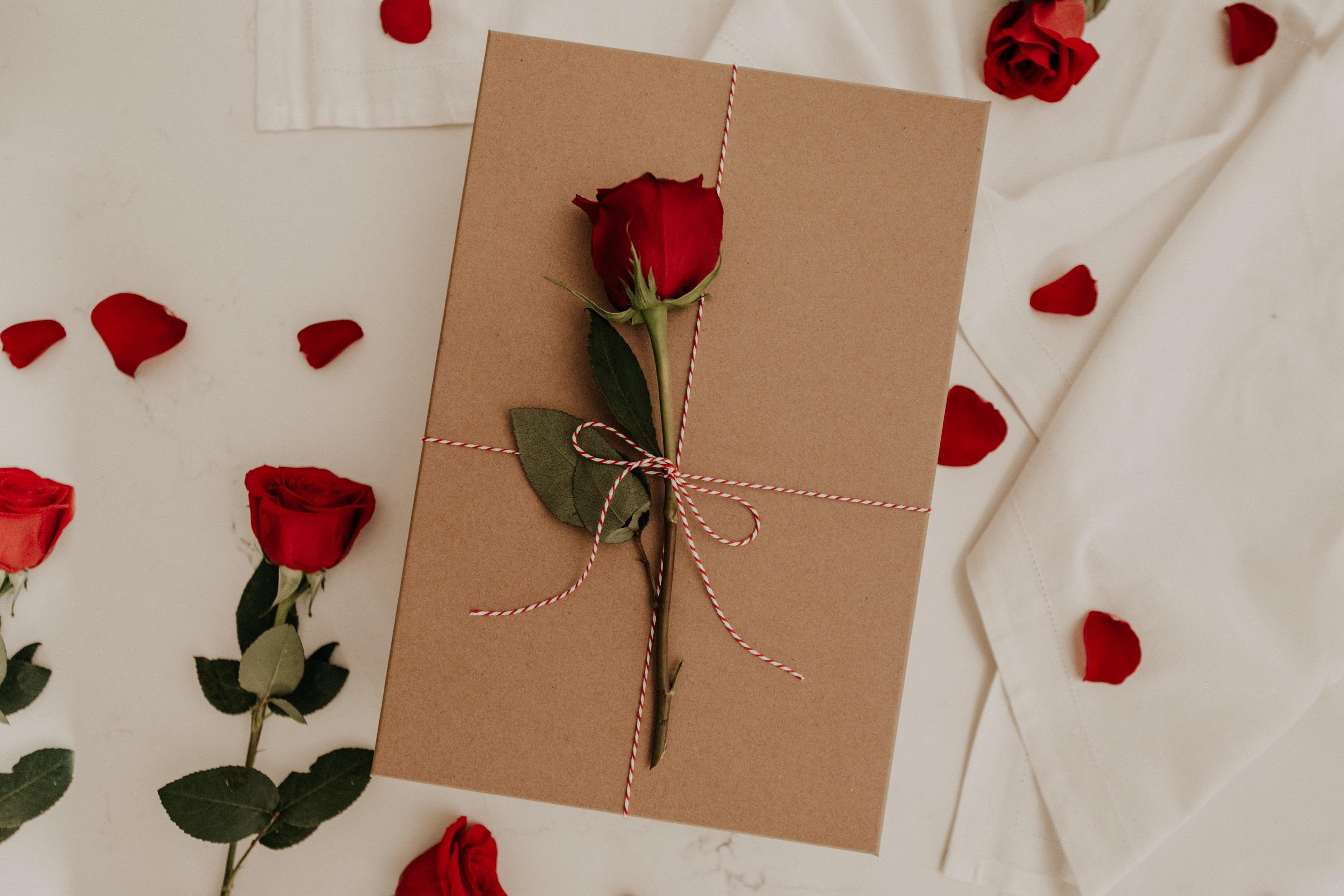 Ilustrasi bunga, simbol perayaan Hari Valentine. Lihat contoh ucapan Hari Valentine untuk sahabat.