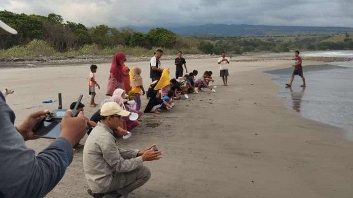 Anak-anak melepasliarkan tukik penyu lekang dari pesisir Pantai Nanga Bere, Kecamatan Lembor Selatan, Manggarai Barat, sebagai wujud dukungan terhadap pelestarian penyu