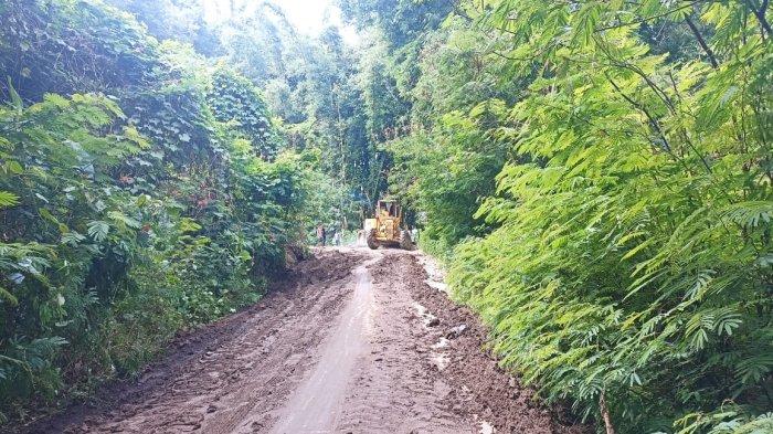 BPBD Ngada bersihkan longsor 1