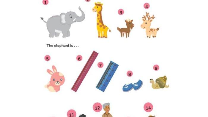 Bahasa Inggris Kelas 5 Halaman 70 a