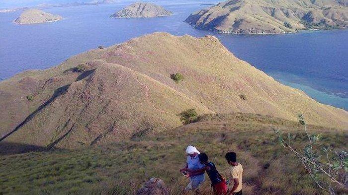 Gili Lawa di TNK cocok untuk trekking.