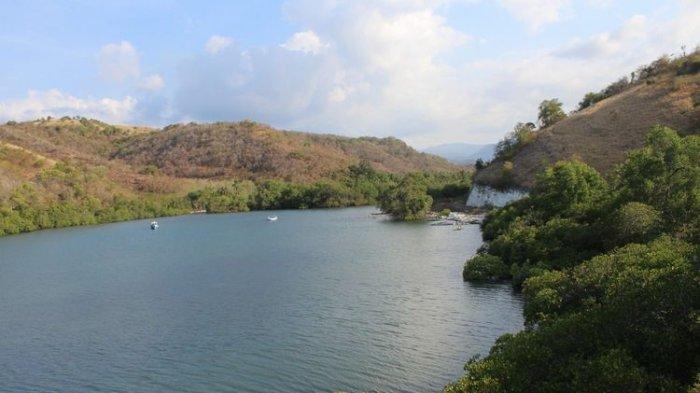 Hamparan hijau pohon bakau berjejer di pinggir Teluk Nanga Lok, Desa Golo Lijun, Kecamatan Elar, Kabupaten Manggarai Timur, Nusa Tenggara Timur (NTT).(