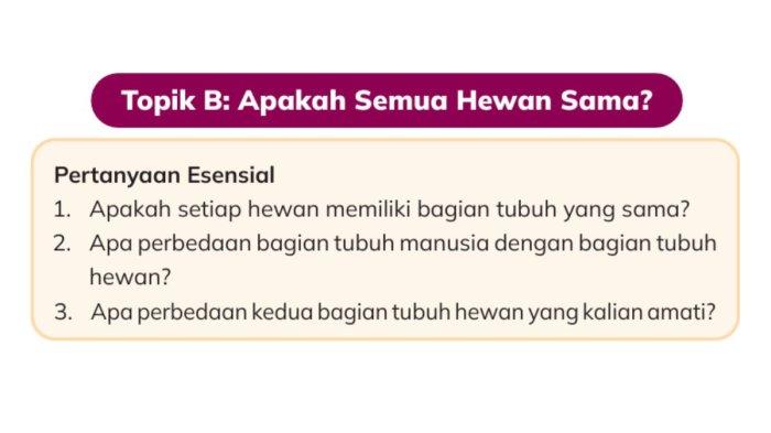 KUNCI JAWABAN - Pertanyaan Esensial dalam buku Ilmu Pengetahuan Alam dan Sosial untuk SD/MI Kelas III halaman 11 Kurikulum Merdeka.