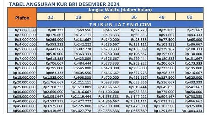 KUR BRI 2024 - Informasi cicilan KUR 2024 di Bank BRI atau KUR BRI 2024 pinjam Rp 30 juta bunga 0,5 persen per bulan pada 7 Desember 2024 dapat dilihat di Tabel Angsuran KUR BRI 2024 ini.