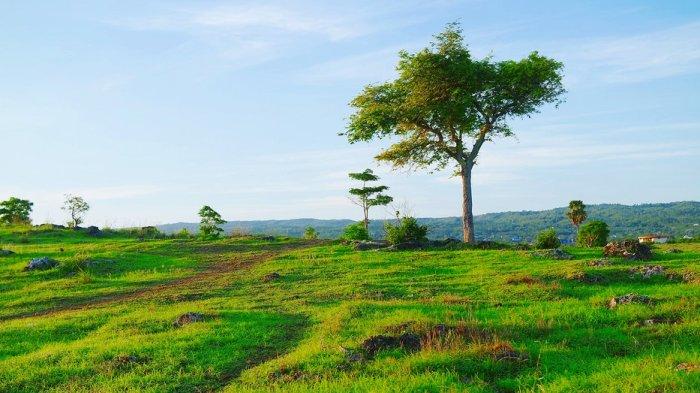 Kawasan Bukit Cinta di Kelurahan Penfui Kecamatan Maulafa Kota Kupang