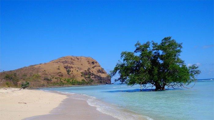 Keindahanj Pantai Oa di Kabupaten Flores Timur , Nusa Tenggara Timur