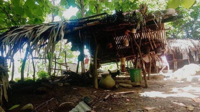 Kondisi rumah yang dihuni Djara Rohi bersama anak-anak di Kampung Mapipa, Desa Raemude, Kecamatan Sabu Barat, Kabupaten Sabu Raijua, Minggu (12/1).