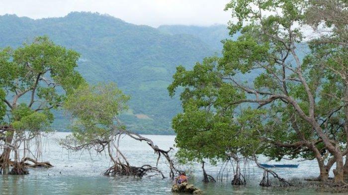 Pemandangan teluk dari Pantai Mali, Alor, NTT