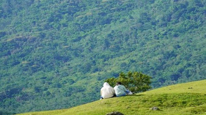 HUTAN LINDUNG TIMAU - Padang savana dengan latar belakang kawasan hutan lindung Timau di Amfoang, Kabupaten Kupang.