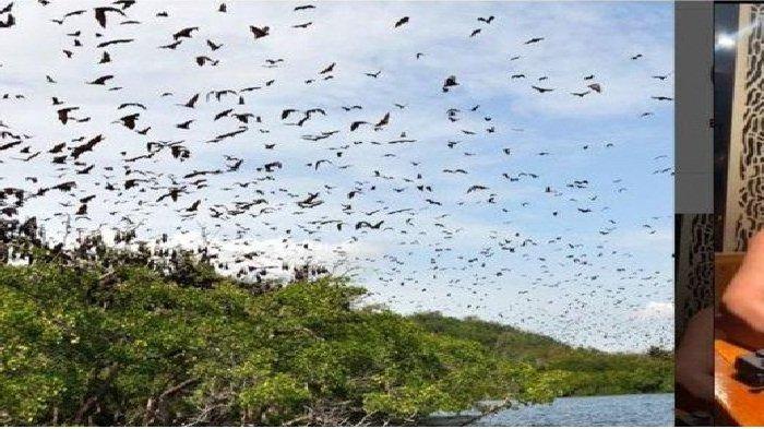 PULAU KALONG - Pulau Kalong di Labuan Bajo. Menjelajahi Wisata Labuan Bajo paling seru dengan menggunakan speed boat, yuk dicek harga sewa speed boat murah yang ramah di kantong saat kamu berada di Kota Labuan Bajo, Manggarai Barat.