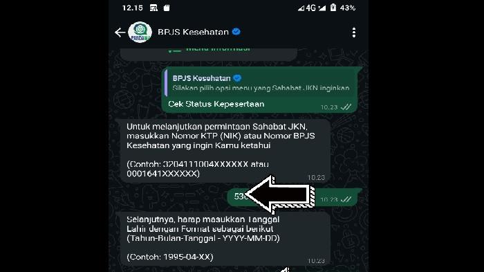 Screenshot kepesertaan program JKN BPJS Kesehatan, Fransiska Lalus