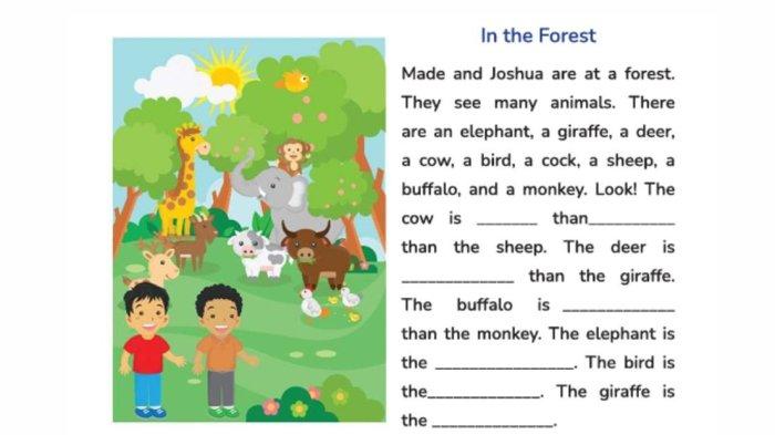 SOAL BAHASA INGGRIS - Look and Write dalam Buku My Next Words Grade 5 - Student's Book for Elementary School halaman 95, Kurikulum Merdeka.