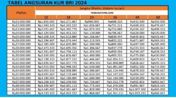 Tabel Angsuran KUR BRI 2024 pinjam Rp 21 juta hingga Rp 40 juta