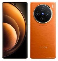 Vivo X100