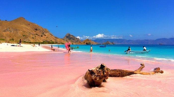 PINK BEACH - Salah satu destinasi di Kota Labuan Bajo, Pink Beach. Tempat Wisata Labuan Bajo menyimpan sejuta pesona untuk dikunjungi, cek harga tiket pesawat dari Kupang ke Kota Labuan Bajo, ada tiga pesawat Wings Air, Citilink dan Batik Air.